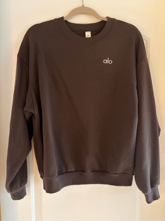 ALO Yoga Sweaters - Alo Yoga Accolade Crewneck Sweatshirt in espresso- size XS